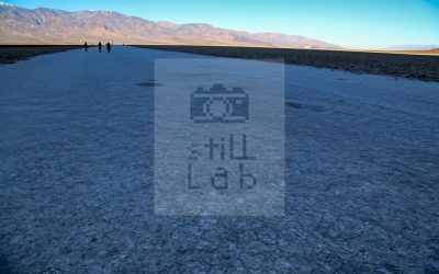 Walking on desert plain