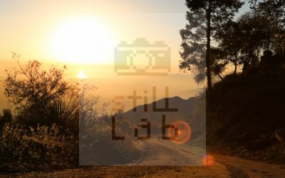 Tire trace on ground in sunset 3