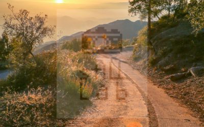 Road with tire trace on mountain in sunset